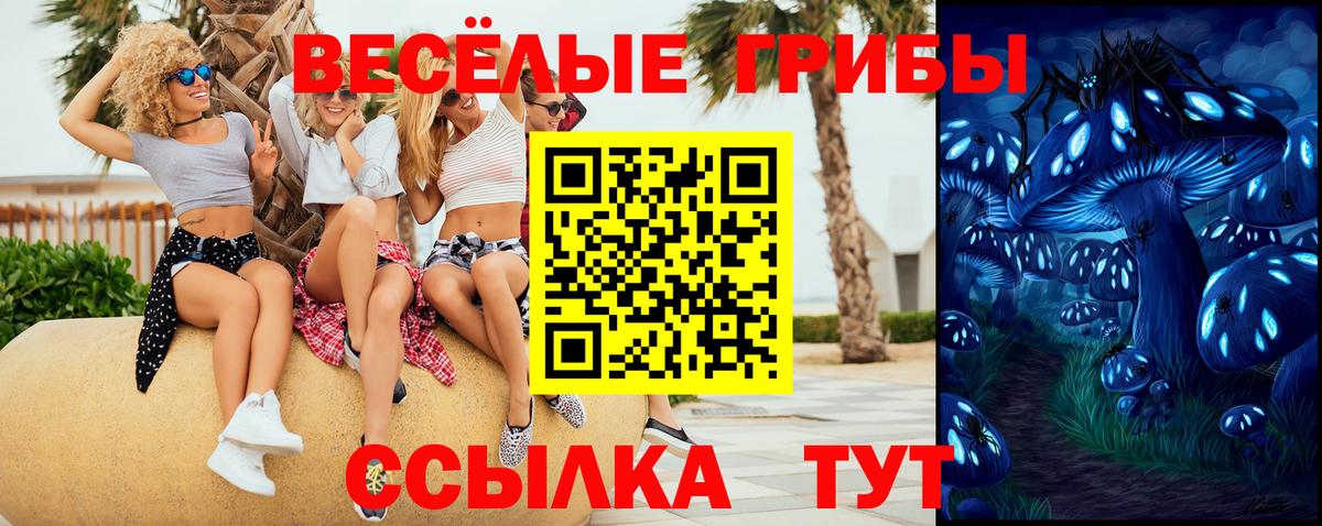 Псилоцибиновые грибы мицелий  Вход с VPN  Галлюциногенные грибы Psilocybe  Киселёвск 